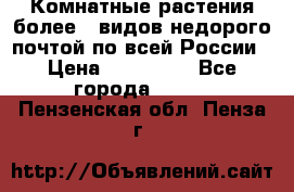 Комнатные растения более200видов недорого почтой по всей России › Цена ­ 100-500 - Все города  »    . Пензенская обл.,Пенза г.